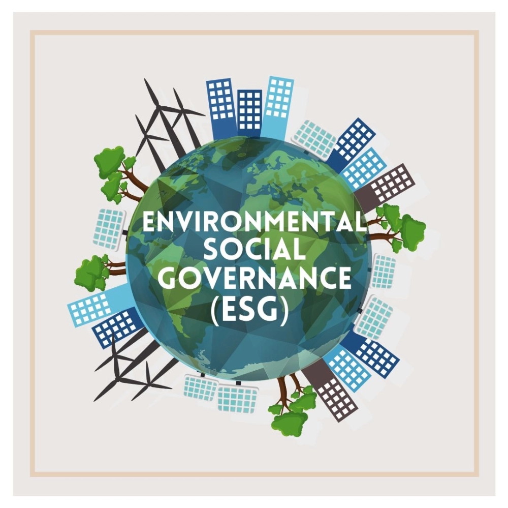 How Interior Design Boosts Sustainability: A Casual Guide for Corporate Spaces